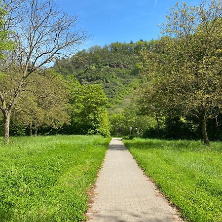 Ferienwohnung An Der Saar Konz Exterior foto